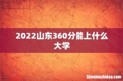 2022山东360分能上什么大学