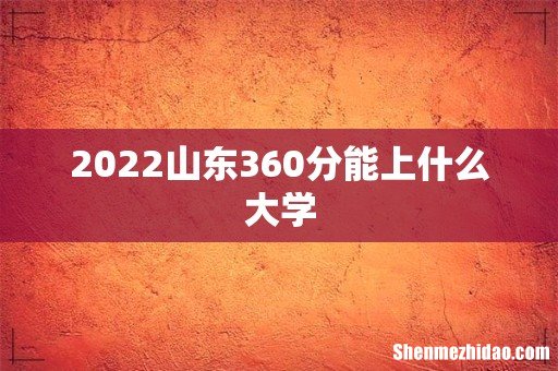 2022山东360分能上什么大学