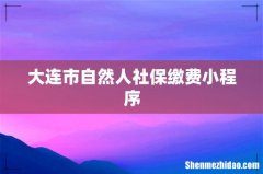 大连市自然人社保缴费小程序