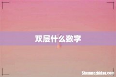 双层什么数字