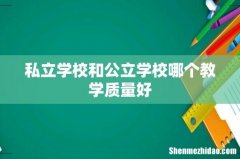 私立学校和公立学校哪个教学质量好