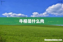 牛柳是什么肉