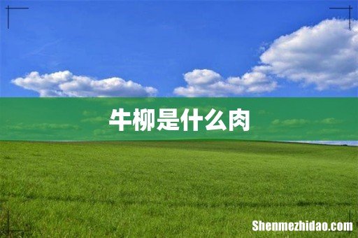 牛柳是什么肉