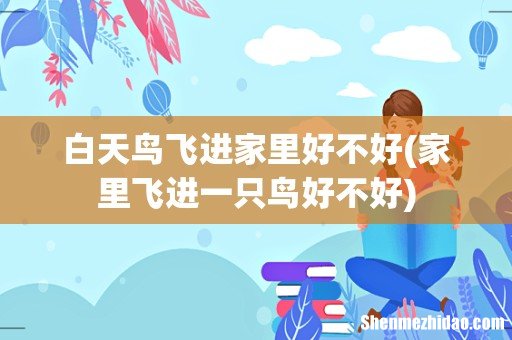 家里飞进一只鸟好不好 白天鸟飞进家里好不好