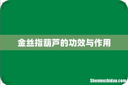 金丝指葫芦的功效与作用