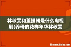 养母的花样年华林秋雯结局和王天柱在一起了吗 林秋雯和董援朝是什么电视剧