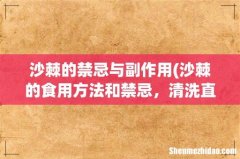 沙棘的食用方法和禁忌，清洗直接吃但不宜过量 沙棘的禁忌与副作用