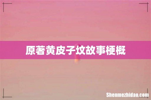 原著黄皮子坟故事梗概