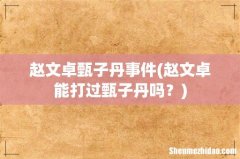 赵文卓能打过甄子丹吗？ 赵文卓甄子丹事件
