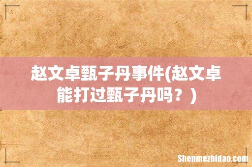 赵文卓能打过甄子丹吗？ 赵文卓甄子丹事件