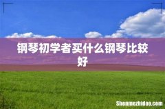 钢琴初学者买什么钢琴比较好