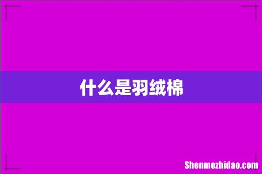 什么是羽绒棉