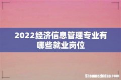 2022经济信息管理专业有哪些就业岗位