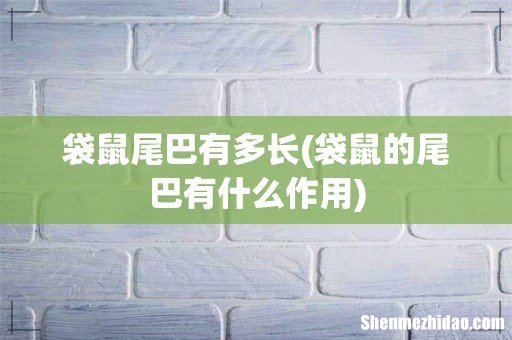 袋鼠的尾巴有什么作用 袋鼠尾巴有多长