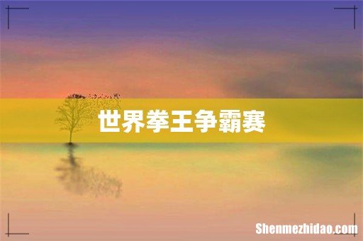 世界拳王争霸赛