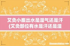 艾灸部位有水是汗还是湿气 艾灸哪个位置排湿气 艾灸小腹出水是湿气还是汗