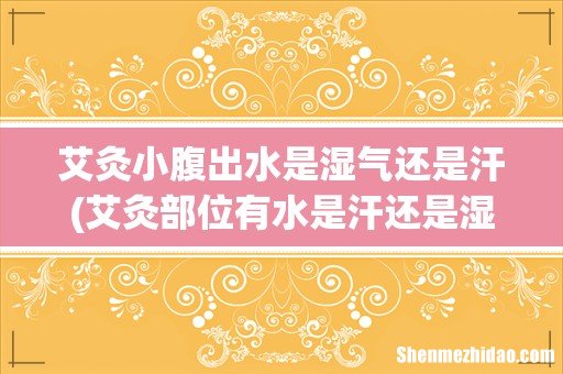 艾灸部位有水是汗还是湿气 艾灸哪个位置排湿气 艾灸小腹出水是湿气还是汗