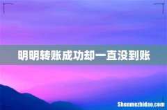 明明转账成功却一直没到账
