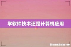 学软件技术还是计算机应用