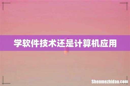 学软件技术还是计算机应用