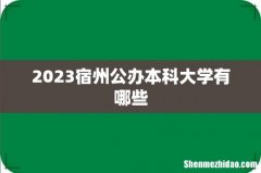 2023宿州公办本科大学有哪些