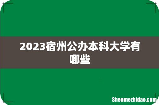 2023宿州公办本科大学有哪些