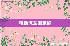 电动汽车哪家好