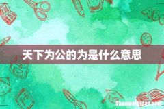天下为公的为是什么意思