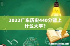 2022广东历史440分能上什么大学？