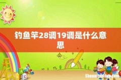 钓鱼竿28调19调是什么意思