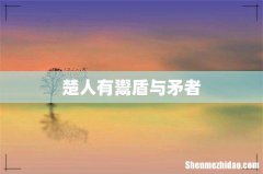 楚人有鬻盾与矛者