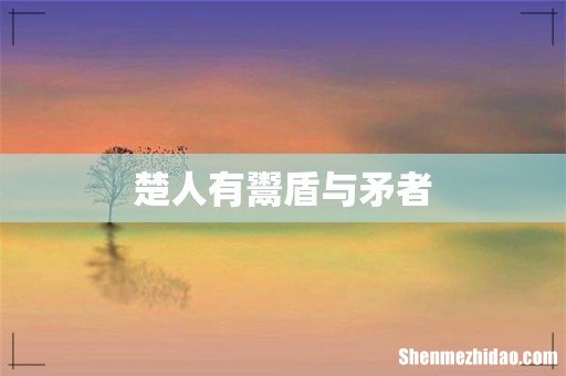 楚人有鬻盾与矛者