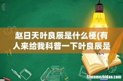 有人来给我科普一下叶良辰是个什么梗吗 赵日天叶良辰是什么梗