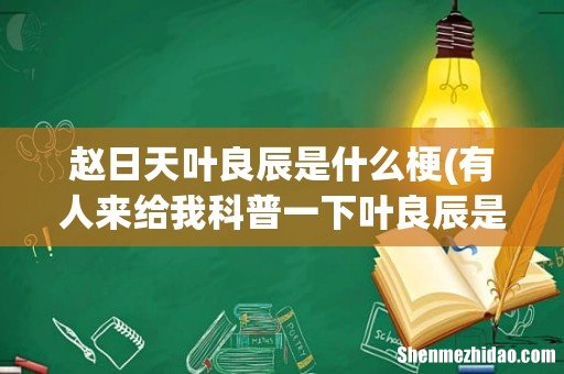 有人来给我科普一下叶良辰是个什么梗吗 赵日天叶良辰是什么梗