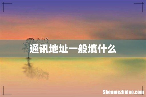 通讯地址一般填什么
