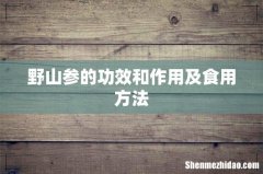 野山参的功效和作用及食用方法
