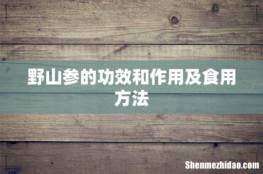 野山参的功效和作用及食用方法