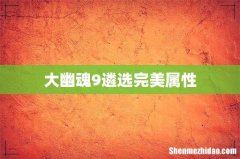 大幽魂9遴选完美属性