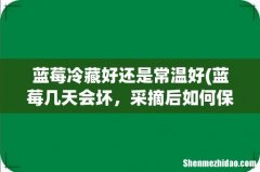 蓝莓几天会坏，采摘后如何保存 蓝莓冷藏好还是常温好
