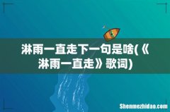 《淋雨一直走》歌词 淋雨一直走下一句是啥