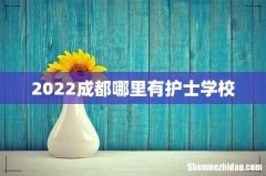 2022成都哪里有护士学校