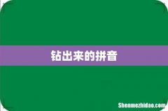 钻出来的拼音