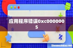 应用程序错误0xc0000005