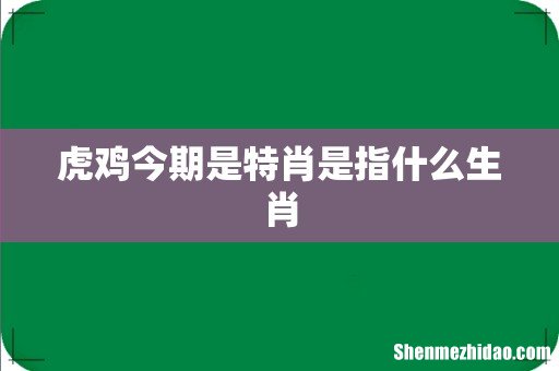 虎鸡今期是特肖是指什么生肖