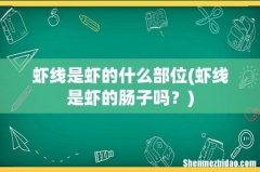 虾线是虾的肠子吗？ 虾线是虾的什么部位