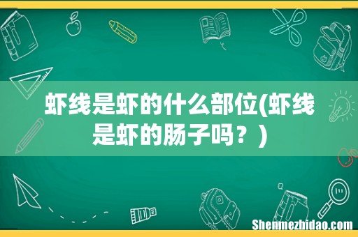 虾线是虾的肠子吗? 虾线是虾的什么部位