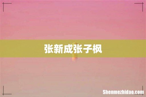 张新成张子枫