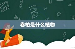 卷柏是什么植物