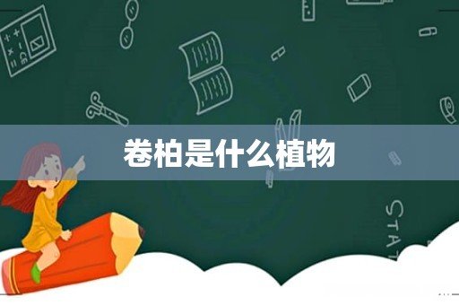 卷柏是什么植物
