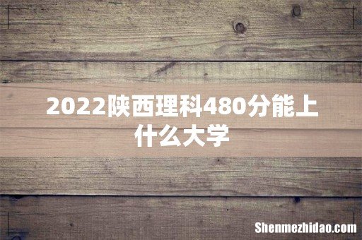 2022陕西理科480分能上什么大学